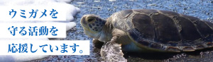 ウミガメを守る活動